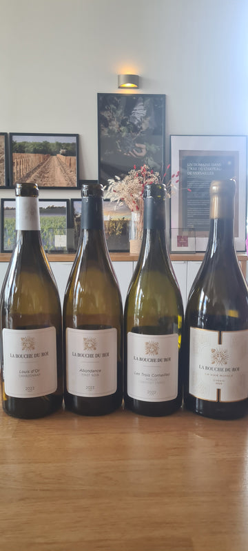 Visite Vignoble - Cuverie et Dégustation à la Bouche du Roi - 11 octobre