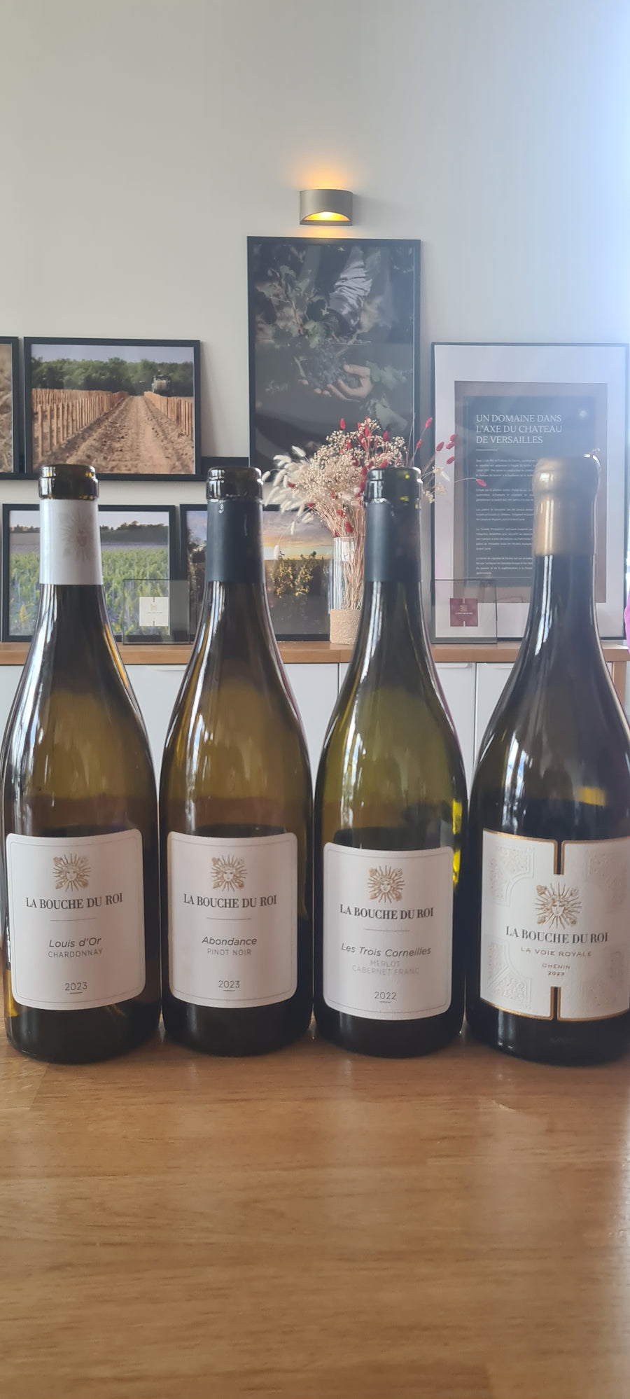 Visite Vignoble - Cuverie et Dégustation à la Bouche du Roi - 11 octobre