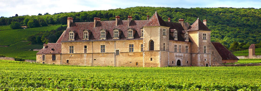 Soirée Œnologique à la cave - Mercredi 9 juillet de 20h00 à 22h00 - La Grande Bourgogne